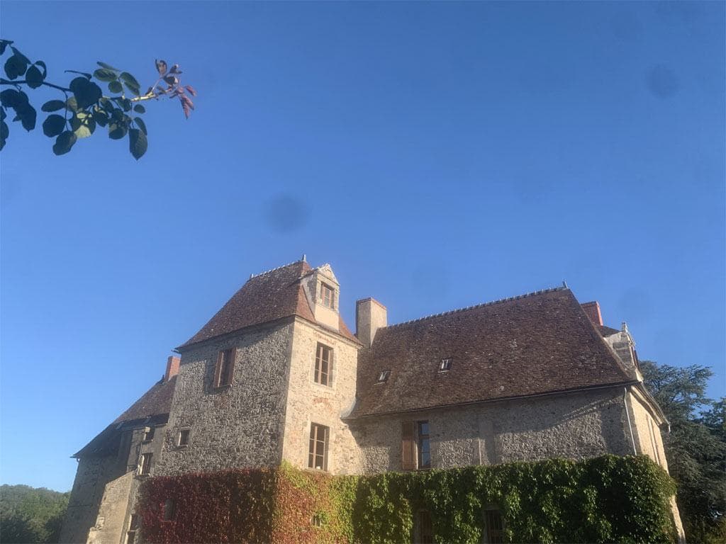 La façade et le cèdre