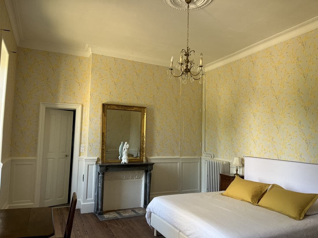 Chambre Forsythia, la cheminée et le lustre