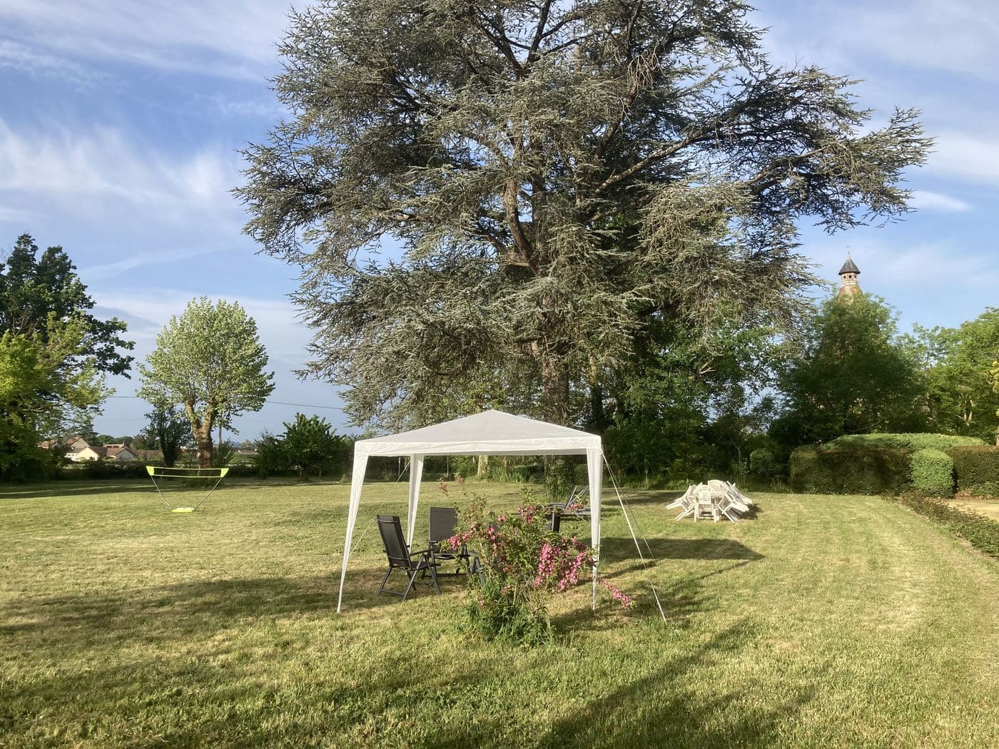 Le parc et le grand cèdre