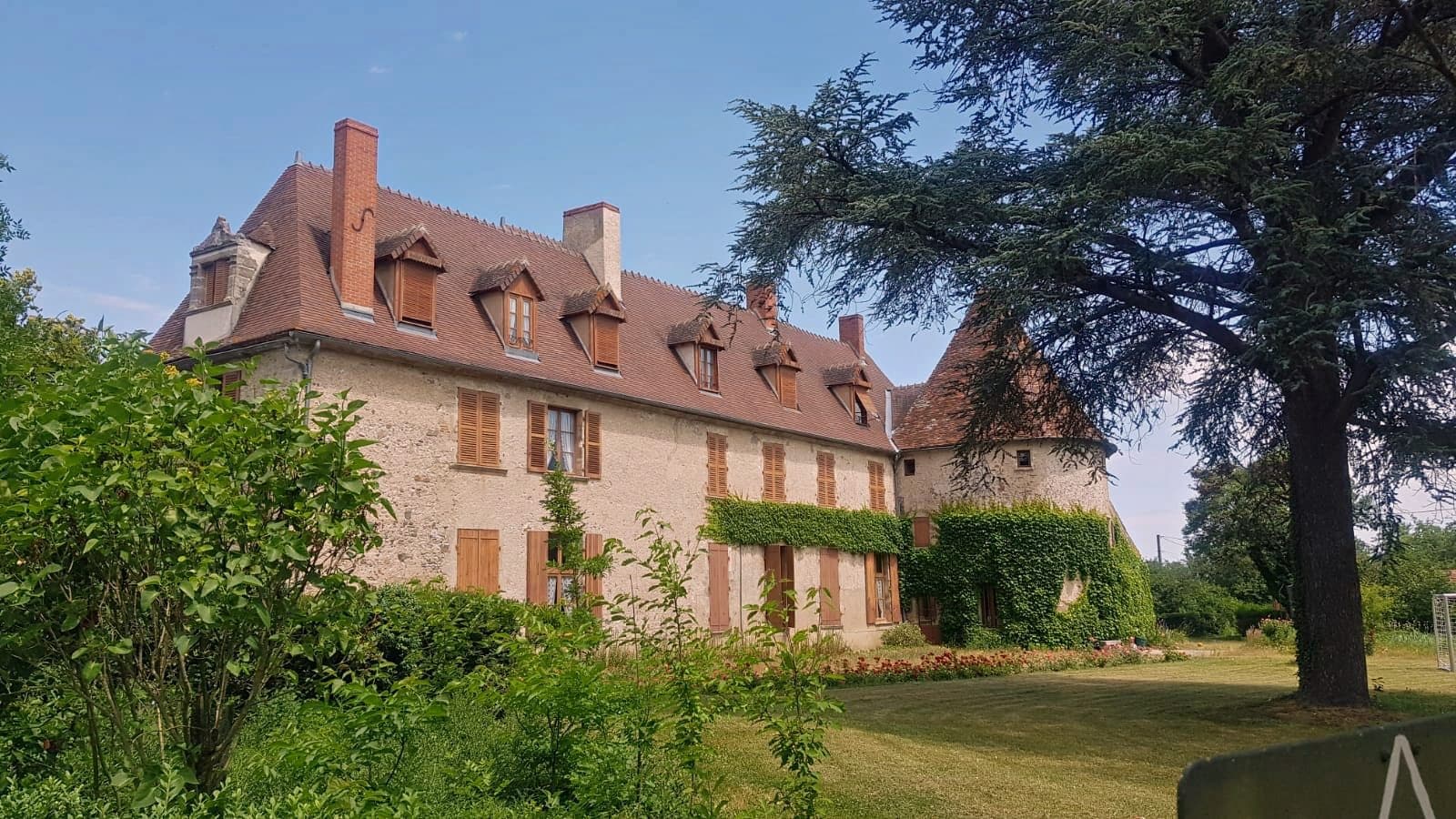 Le château et le grand cèdre en été